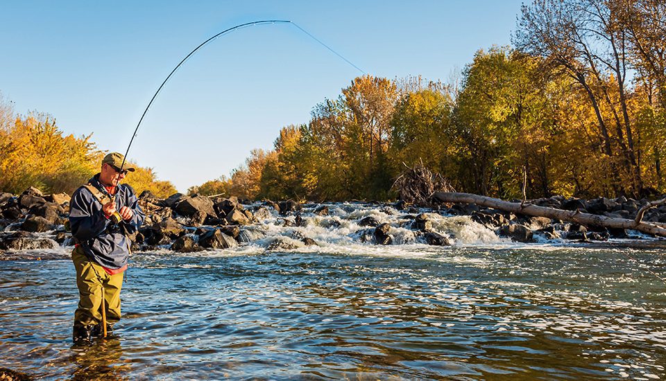 Fly,Fisherman,Catching,A,Fish,In,The,Boise,River,In
